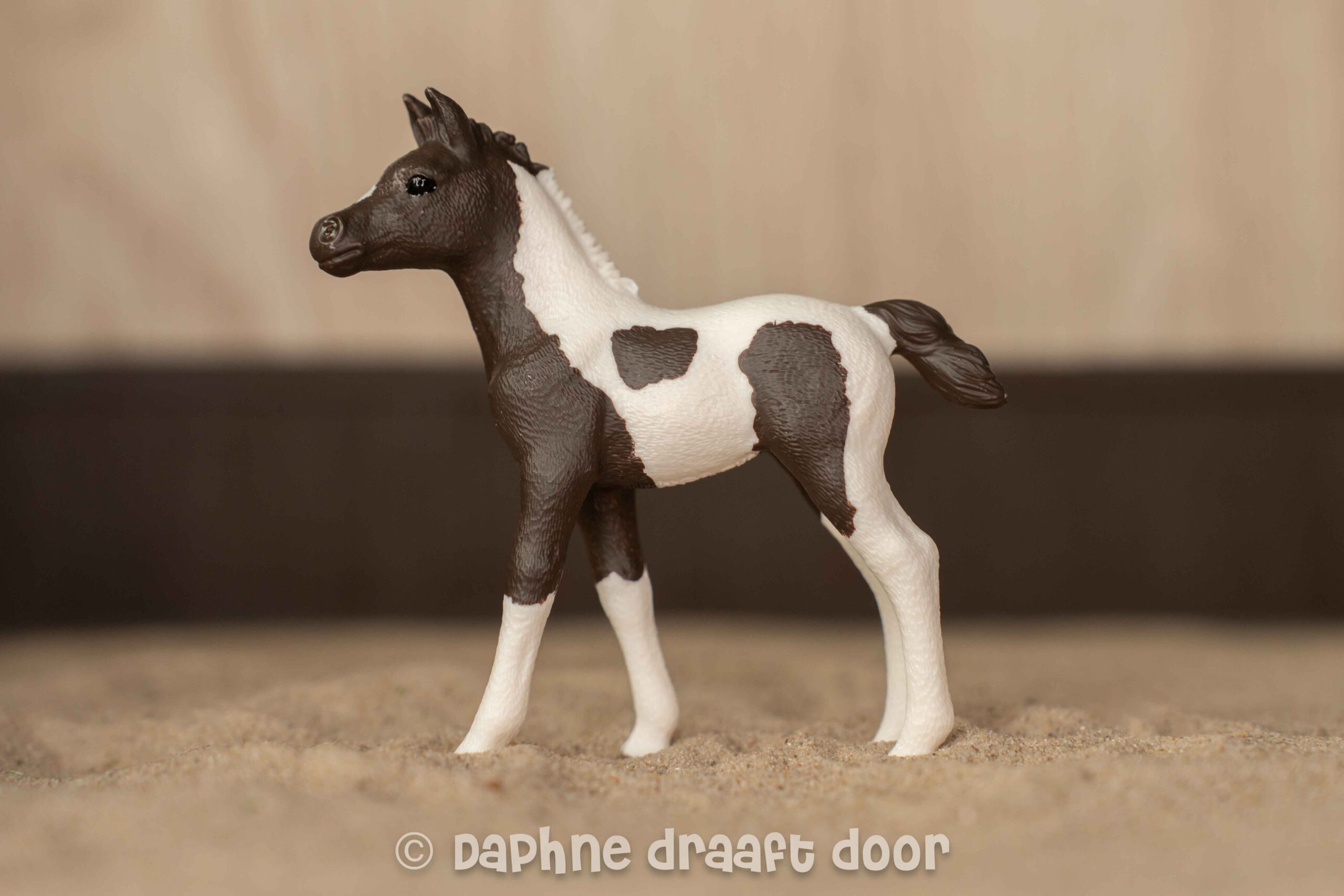 Arabier veulen uit tijdschrift Pino 83011