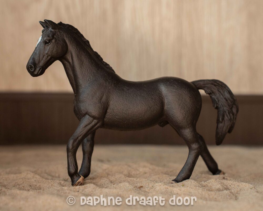 Trakehner hengst uit tijdschrift 83023
