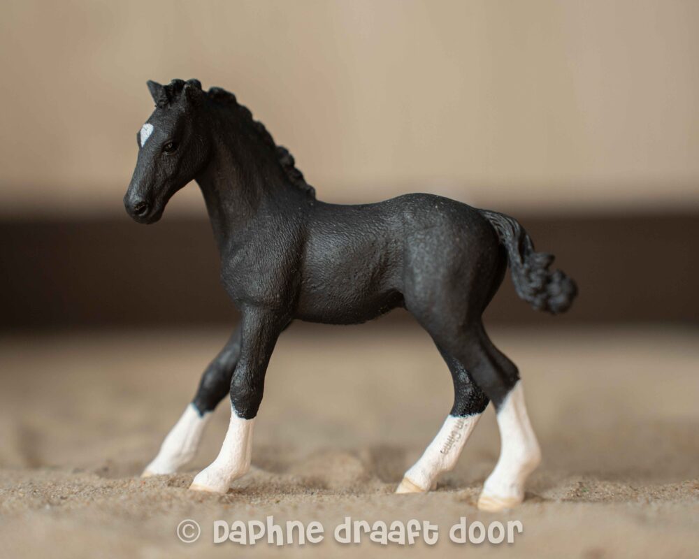 Tennessee Walker veulen uit tijdschrift 83024