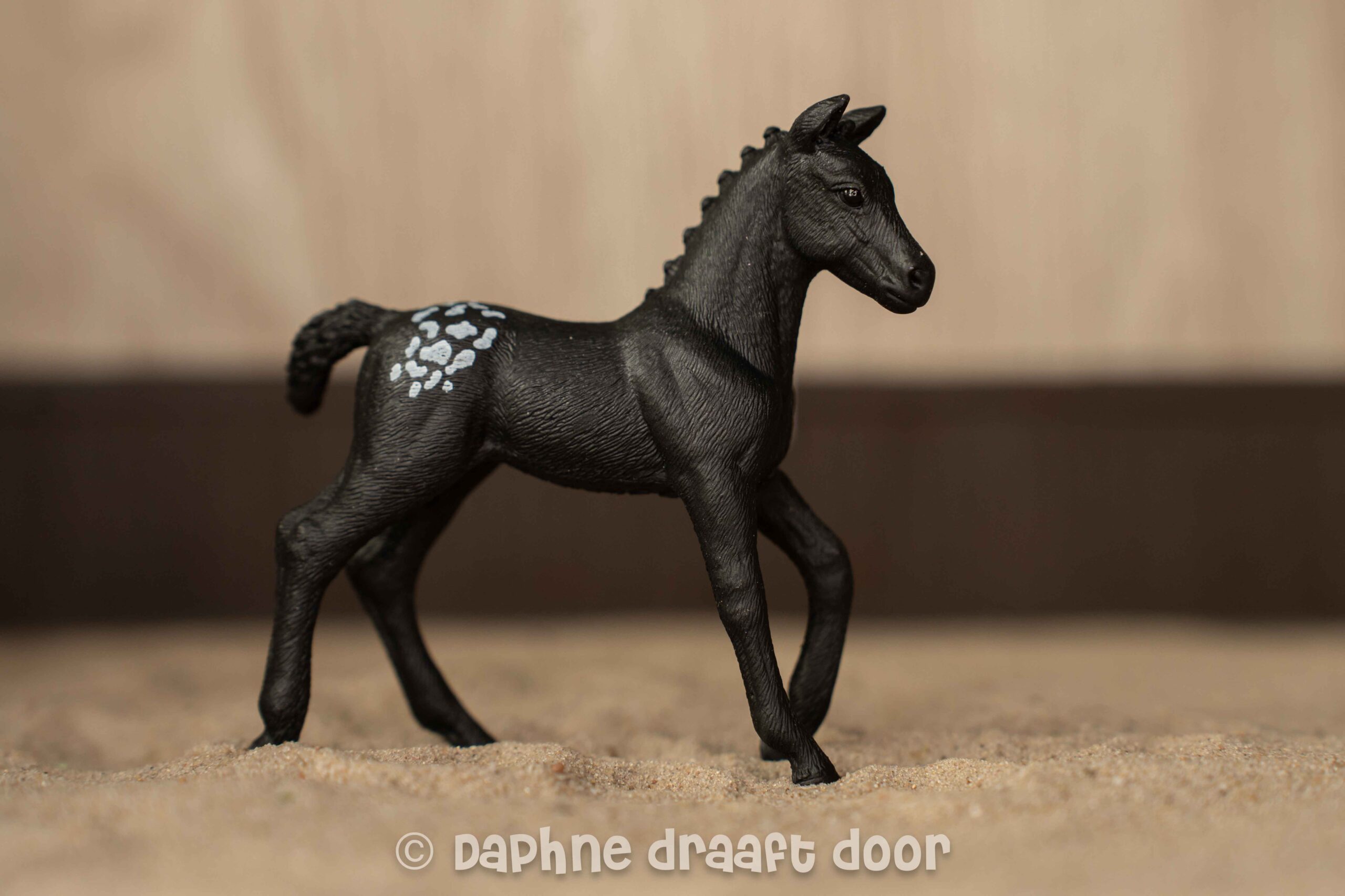 Hannoveraan appaloosa veulen uit tijdschrift 83040
