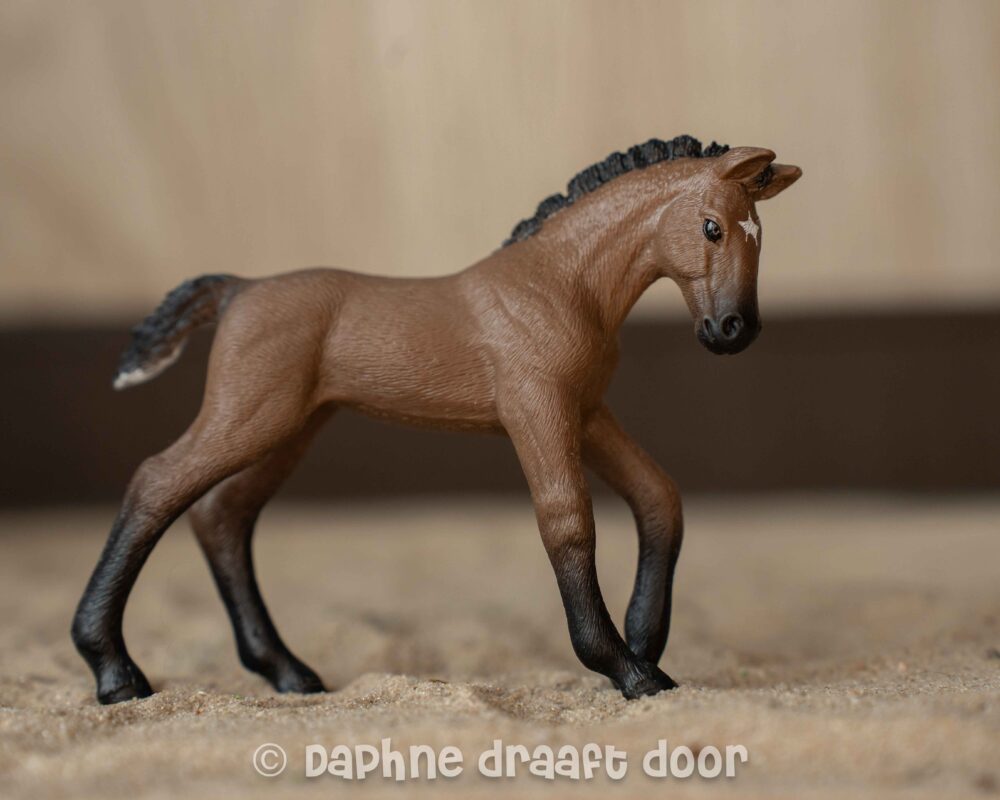 Trakehner veulen uit tijdschrift 83043