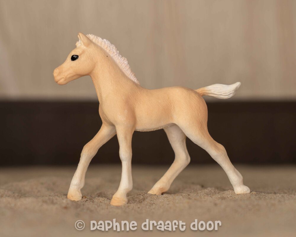 Arabier veulen uit tijdschrift Goldie 83045