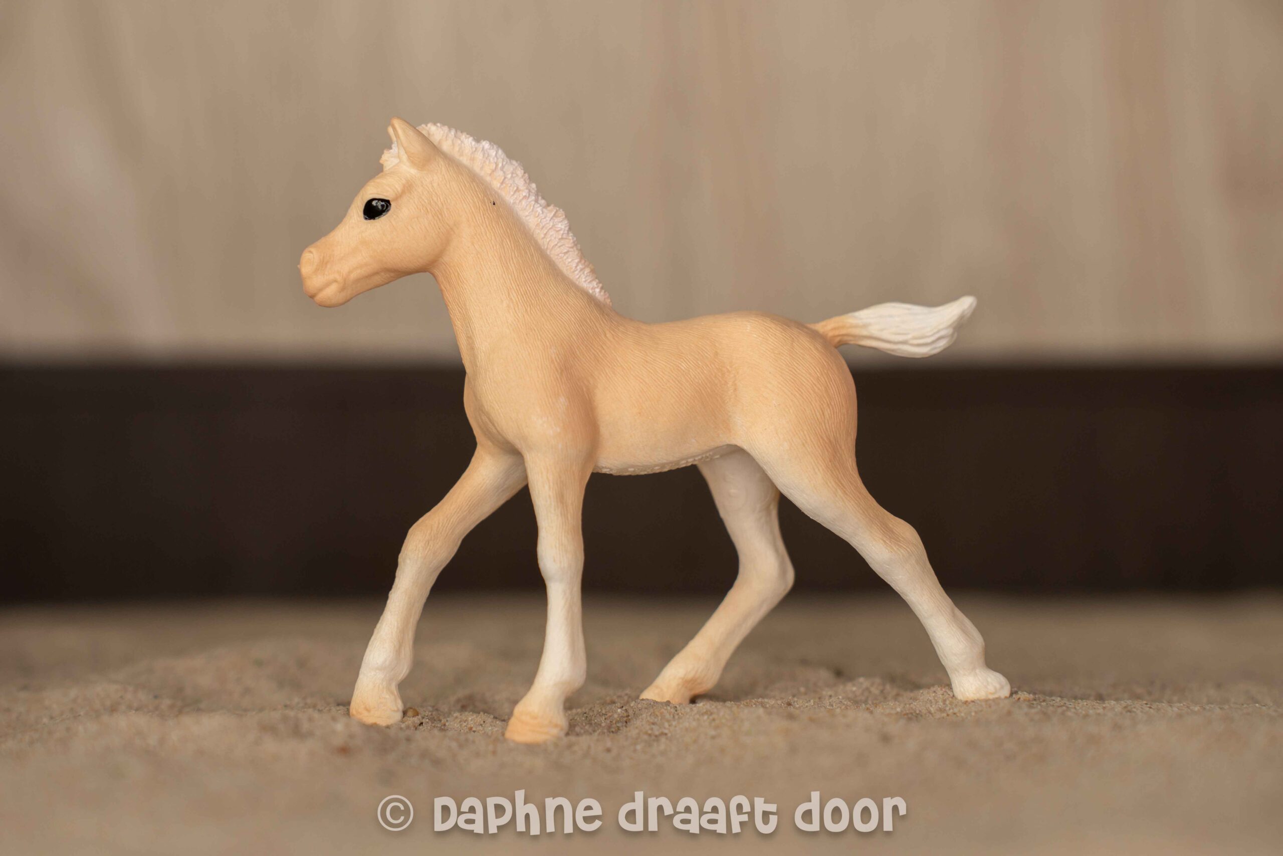 Arabier veulen uit tijdschrift Goldie 83045