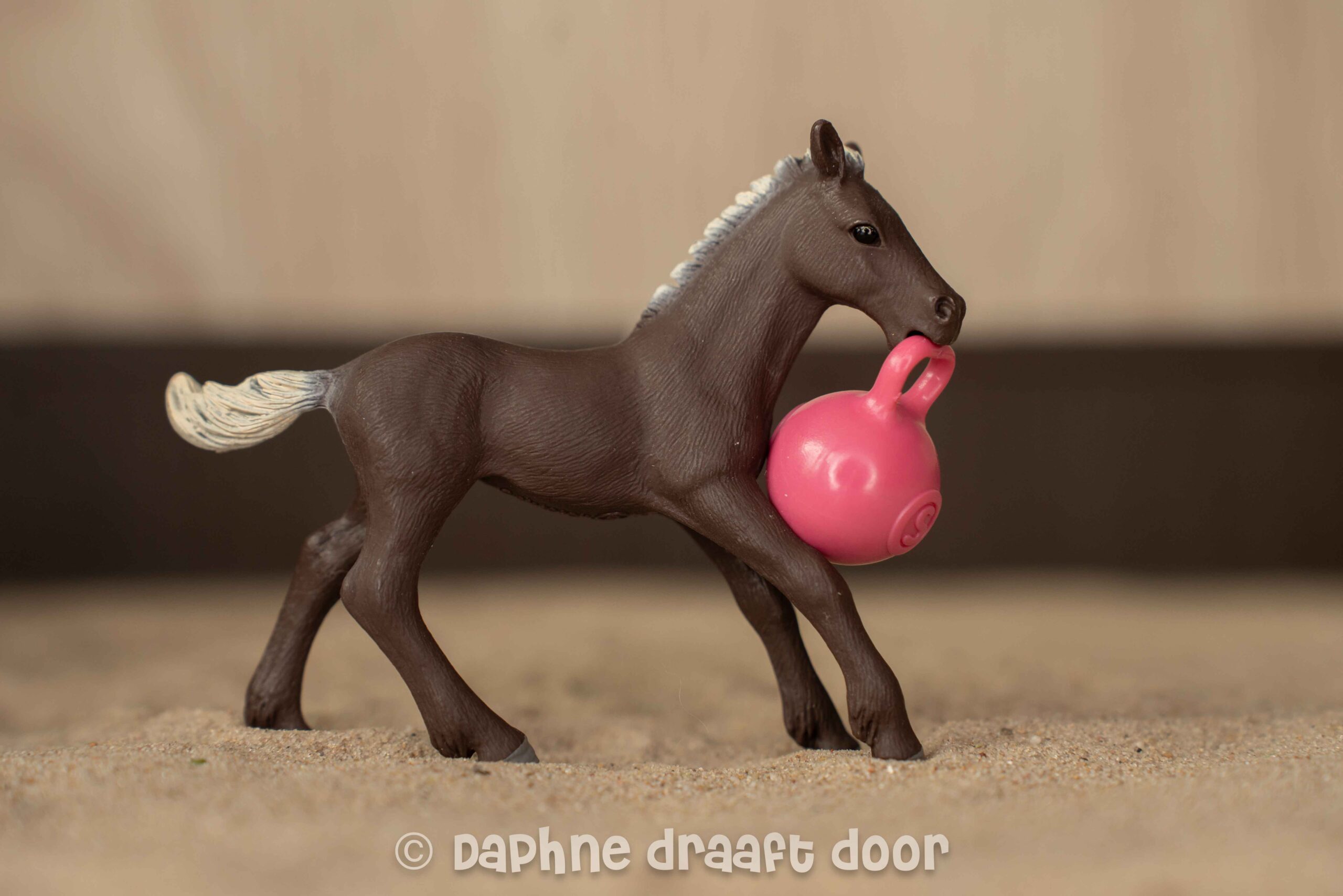 Spelend veulen met bal uit tijdschrift 83088