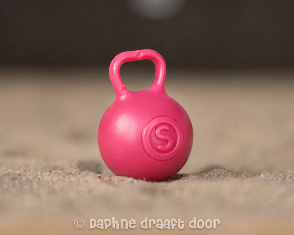Paarden speelbal