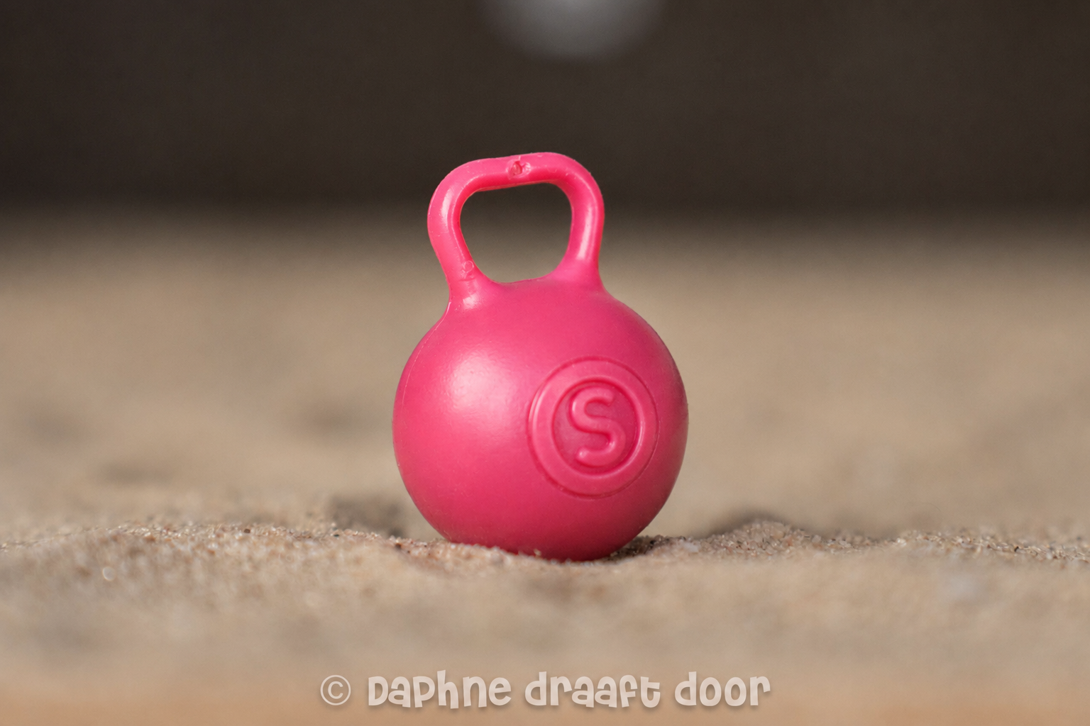 Paarden speelbal